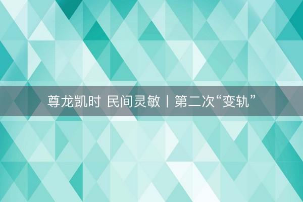 尊龙凯时 民间灵敏丨第二次“变轨”