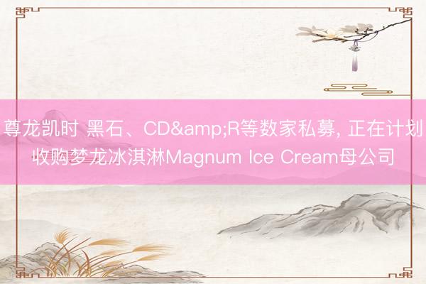 尊龙凯时 黑石、CD&R等数家私募, 正在计划收购梦龙冰淇淋Magnum Ice Cream母公司