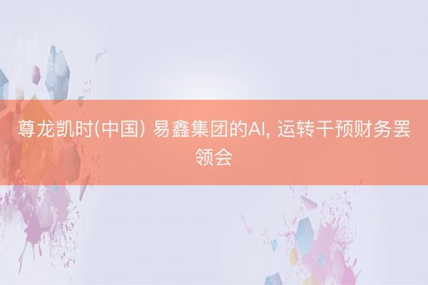 尊龙凯时(中国) 易鑫集团的AI， 运转干预财务罢领会