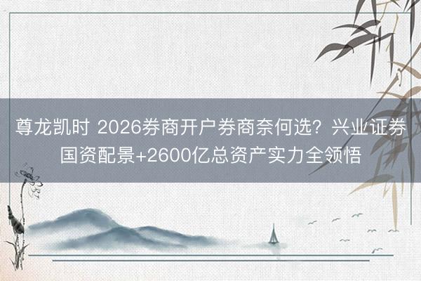 尊龙凯时 2026券商开户券商奈何选？兴业证券国资配景+2600亿总资产实力全领悟
