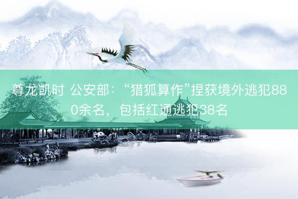 尊龙凯时 公安部：“猎狐算作”捏获境外逃犯880余名，包括红通逃犯38名