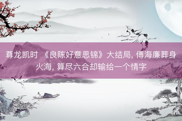 尊龙凯时 《良陈好意思锦》大结局， 傅海廉葬身火海， 算尽六合却输给一个情字