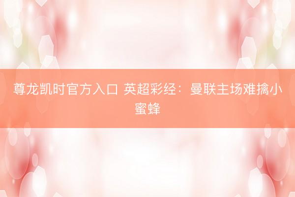 尊龙凯时官方入口 英超彩经:曼联主场难擒小蜜蜂