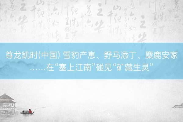 尊龙凯时(中国) 雪豹产崽、野马添丁、麋鹿安家……在“塞上江南”碰见“矿藏生灵”