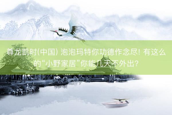 尊龙凯时(中国) 泡泡玛特你功德作念尽! 有这么的“小野家居”你能几天不外出?