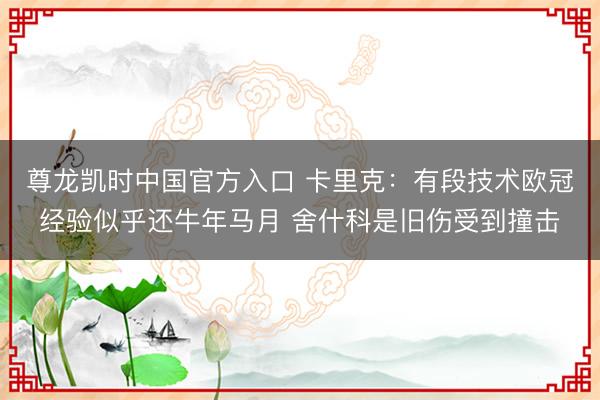尊龙凯时中国官方入口 卡里克：有段技术欧冠经验似乎还牛年马月 舍什科是旧伤受到撞击