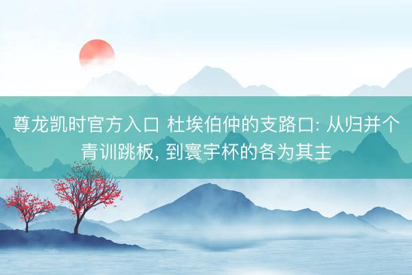 尊龙凯时官方入口 杜埃伯仲的支路口: 从归并个青训跳板， 到寰宇杯的各为其主