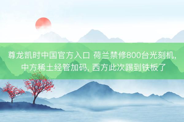 尊龙凯时中国官方入口 荷兰禁修800台光刻机, 中方稀土经管加码
