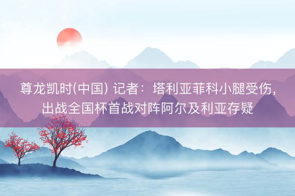 尊龙凯时(中国) 记者:塔利亚菲科小腿受伤,出战全国杯首战对阵阿尔及利亚存疑