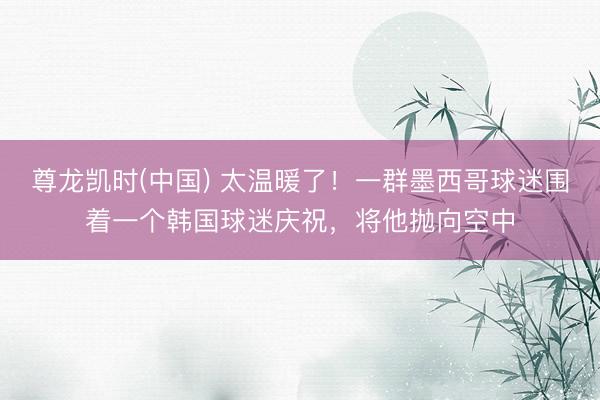 尊龙凯时(中国) 太温暖了！一群墨西哥球迷围着一个韩国球迷庆祝，将他抛向空中