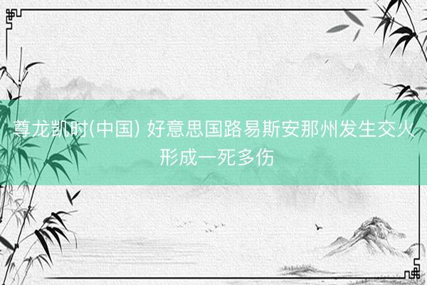 尊龙凯时(中国) 好意思国路易斯安那州发生交火 形成一死多伤