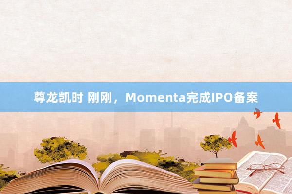 尊龙凯时 刚刚,Momenta完成IPO备案