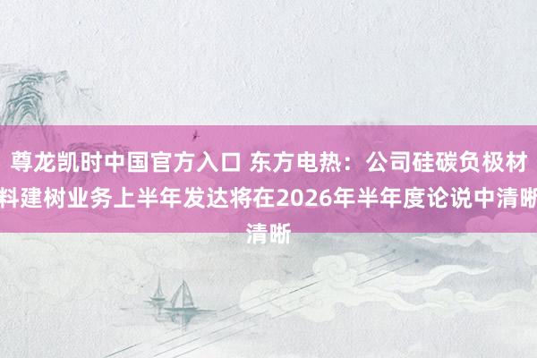 尊龙凯时中国官方入口 东方电热：公司硅碳负极材料建树业务上半年发达将在2026年半年度论说中清晰