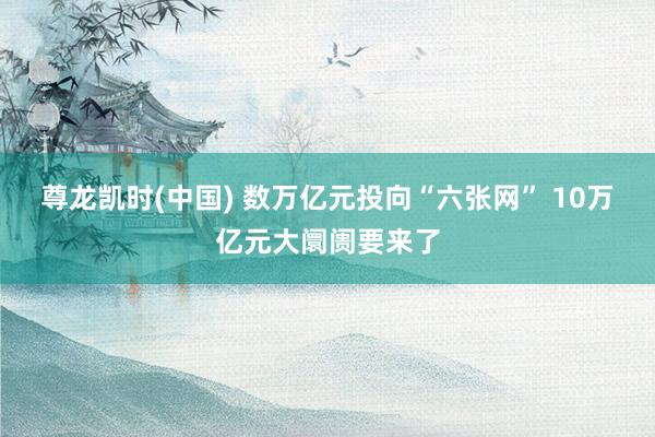 尊龙凯时(中国) 数万亿元投向“六张网” 10万亿元大阛阓要来了